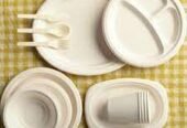 Disposal Crockery and Brooms