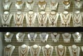 PS Jewellers (Payal Wale)