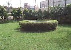 IMIT College