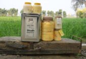 Gavyuh Dairy Farm