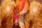 Maa Durga Chandi Jagran Mandal Agarwal and Party